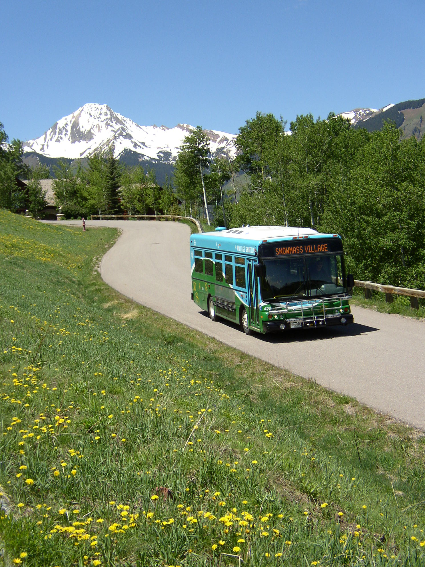 bus and mountain